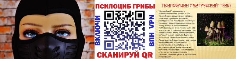 цены Боровичи Галлюциногенные грибы Magic Shrooms