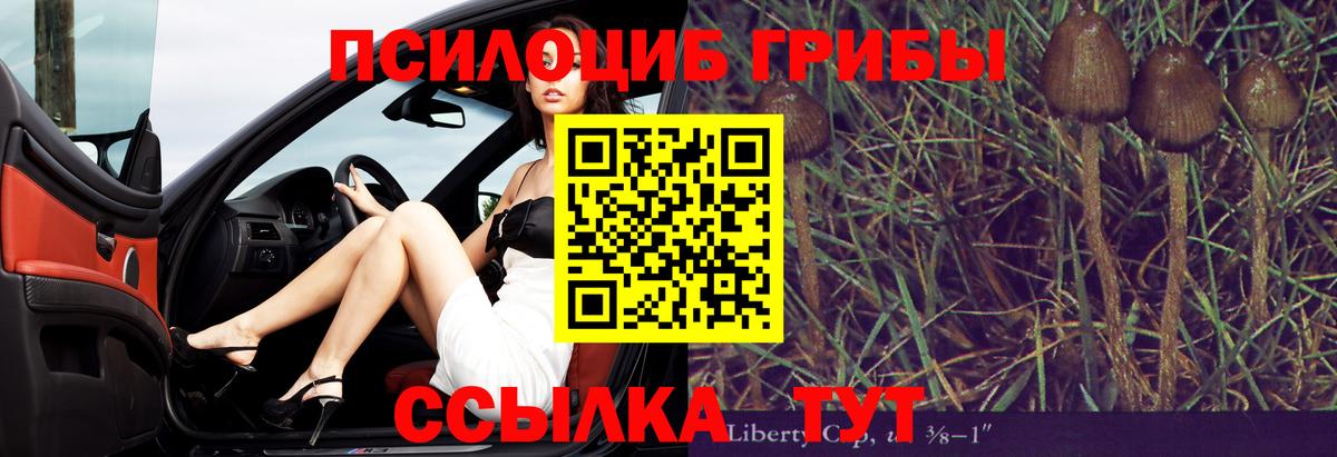Галлюциногенные грибы MAGIC MUSHROOMS Боровичи