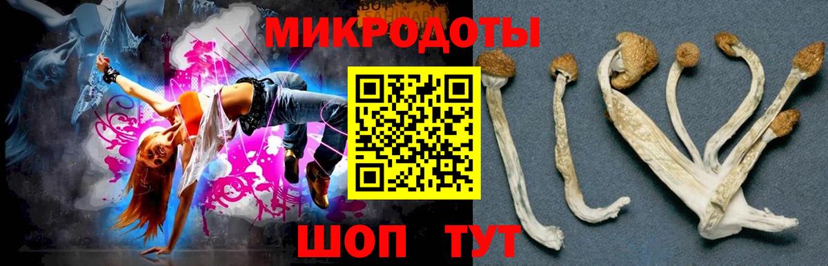 Псилоцибиновые грибы прущие грибы  Вход с VPN  наркошоп  Боровичи 