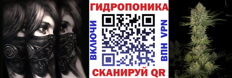как найти Боровичи Бошки Шишки White Widow