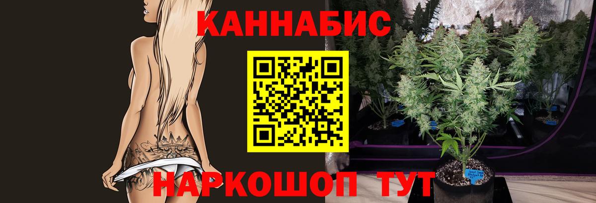 Конопля план Боровичи